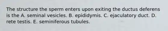 The structure the sperm enters upon exiting the ductus deferens is the A. seminal vesicles. B. epididymis. C. ejaculatory duct. D. rete testis. E. seminiferous tubules.