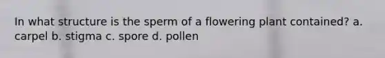 In what structure is the sperm of a flowering plant contained? a. carpel b. stigma c. spore d. pollen