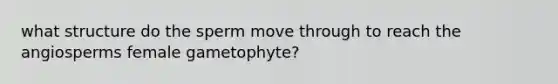 what structure do the sperm move through to reach the angiosperms female gametophyte?