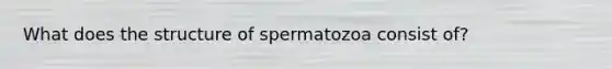 What does the structure of spermatozoa consist of?