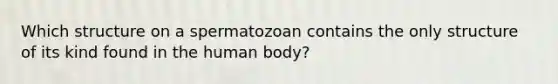 Which structure on a spermatozoan contains the only structure of its kind found in the human body?