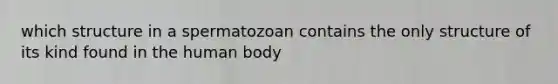 which structure in a spermatozoan contains the only structure of its kind found in the human body