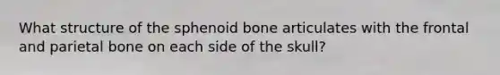 What structure of the sphenoid bone articulates with the frontal and parietal bone on each side of the skull?