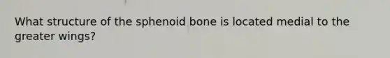 What structure of the sphenoid bone is located medial to the greater wings?