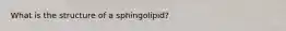 What is the structure of a sphingolipid?