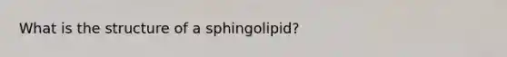 What is the structure of a sphingolipid?