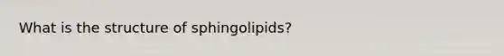 What is the structure of sphingolipids?