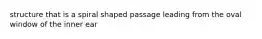 structure that is a spiral shaped passage leading from the oval window of the inner ear