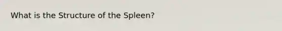 What is the Structure of the Spleen?