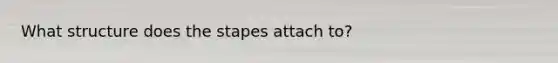 What structure does the stapes attach to?