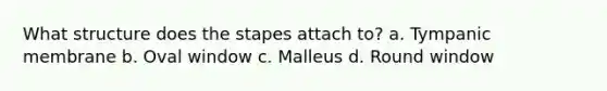 What structure does the stapes attach to? a. Tympanic membrane b. Oval window c. Malleus d. Round window