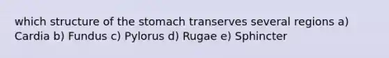 which structure of <a href='https://www.questionai.com/knowledge/kLccSGjkt8-the-stomach' class='anchor-knowledge'>the stomach</a> transerves several regions a) Cardia b) Fundus c) Pylorus d) Rugae e) Sphincter