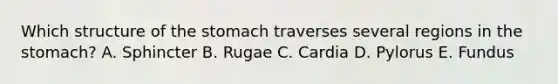 Which structure of <a href='https://www.questionai.com/knowledge/kLccSGjkt8-the-stomach' class='anchor-knowledge'>the stomach</a> traverses several regions in the stomach? A. Sphincter B. Rugae C. Cardia D. Pylorus E. Fundus