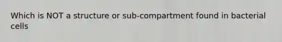 Which is NOT a structure or sub-compartment found in bacterial cells