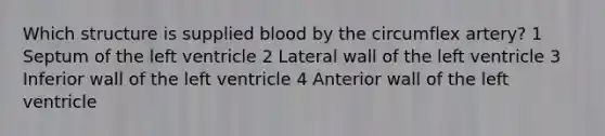 Which structure is supplied blood by the circumflex artery? 1 Septum of the left ventricle 2 Lateral wall of the left ventricle 3 Inferior wall of the left ventricle 4 Anterior wall of the left ventricle