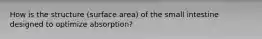 How is the structure (surface area) of the small intestine designed to optimize absorption?