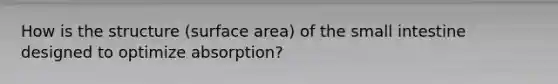 How is the structure (surface area) of the small intestine designed to optimize absorption?