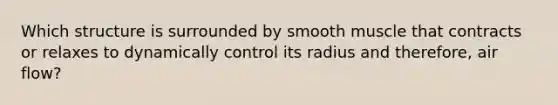 Which structure is surrounded by smooth muscle that contracts or relaxes to dynamically control its radius and therefore, air flow?