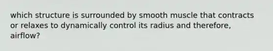 which structure is surrounded by smooth muscle that contracts or relaxes to dynamically control its radius and therefore, airflow?