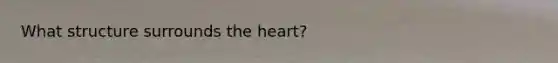 What structure surrounds <a href='https://www.questionai.com/knowledge/kya8ocqc6o-the-heart' class='anchor-knowledge'>the heart</a>?