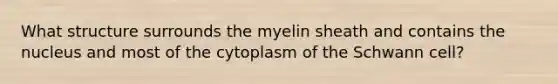 What structure surrounds the myelin sheath and contains the nucleus and most of the cytoplasm of the Schwann cell?