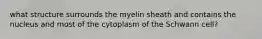 what structure surrounds the myelin sheath and contains the nucleus and most of the cytoplasm of the Schwann cell?