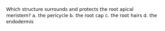 Which structure surrounds and protects the root apical meristem? a. the pericycle b. the root cap c. the root hairs d. the endodermis