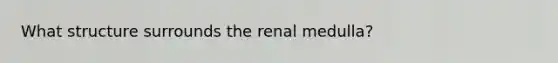 What structure surrounds the renal medulla?