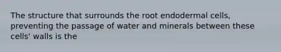 The structure that surrounds the root endodermal cells, preventing the passage of water and minerals between these cells' walls is the