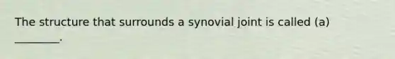 The structure that surrounds a synovial joint is called (a) ________.