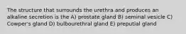 The structure that surrounds the urethra and produces an alkaline secretion is the A) prostate gland B) seminal vesicle C) Cowper's gland D) bulbourethral gland E) preputial gland