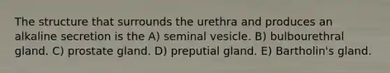 The structure that surrounds the urethra and produces an alkaline secretion is the A) seminal vesicle. B) bulbourethral gland. C) prostate gland. D) preputial gland. E) Bartholin's gland.