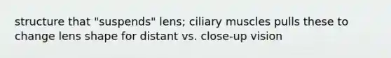 structure that "suspends" lens; ciliary muscles pulls these to change lens shape for distant vs. close-up vision