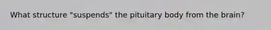 What structure "suspends" the pituitary body from the brain?