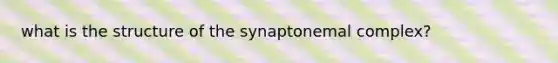 what is the structure of the synaptonemal complex?