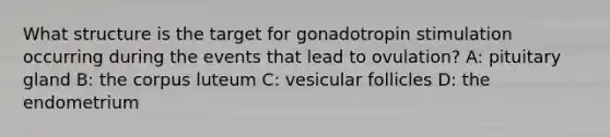 What structure is the target for gonadotropin stimulation occurring during the events that lead to ovulation? A: pituitary gland B: the corpus luteum C: vesicular follicles D: the endometrium