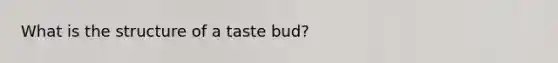 What is the structure of a taste bud?