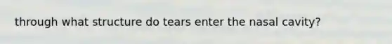 through what structure do tears enter the nasal cavity?