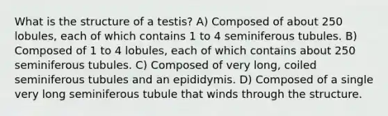 What is the structure of a testis? A) Composed of about 250 lobules, each of which contains 1 to 4 seminiferous tubules. B) Composed of 1 to 4 lobules, each of which contains about 250 seminiferous tubules. C) Composed of very long, coiled seminiferous tubules and an epididymis. D) Composed of a single very long seminiferous tubule that winds through the structure.