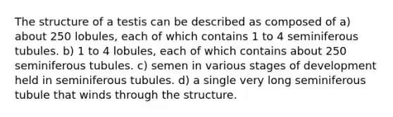 The structure of a testis can be described as composed of a) about 250 lobules, each of which contains 1 to 4 seminiferous tubules. b) 1 to 4 lobules, each of which contains about 250 seminiferous tubules. c) semen in various stages of development held in seminiferous tubules. d) a single very long seminiferous tubule that winds through the structure.