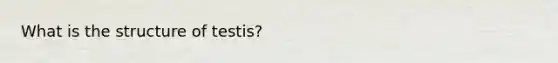 What is the structure of testis?