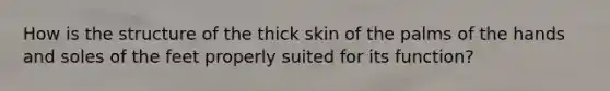 How is the structure of the thick skin of the palms of the hands and soles of the feet properly suited for its function?