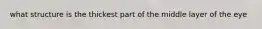 what structure is the thickest part of the middle layer of the eye