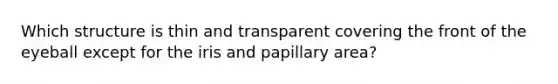 Which structure is thin and transparent covering the front of the eyeball except for the iris and papillary area?