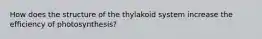 How does the structure of the thylakoid system increase the efficiency of photosynthesis?