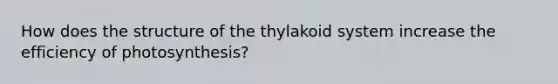 How does the structure of the thylakoid system increase the efficiency of photosynthesis?