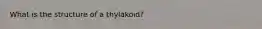 What is the structure of a thylakoid?