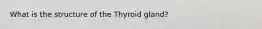 What is the structure of the Thyroid gland?