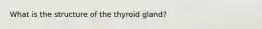 What is the structure of the thyroid gland?