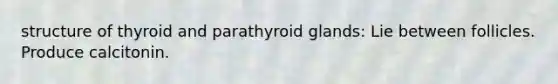 structure of thyroid and parathyroid glands: Lie between follicles. Produce calcitonin.